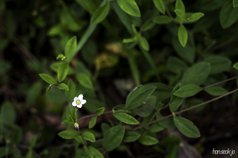 DSC_1292.jpg