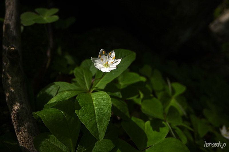 DSC_2834.jpg