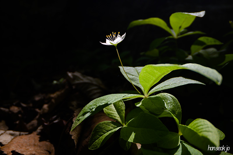 DSC_2840.jpg