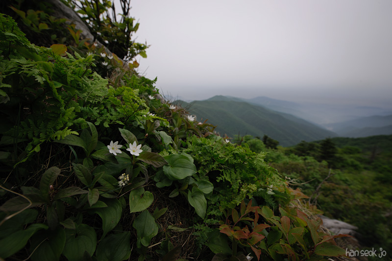 HSJ_3103.jpg