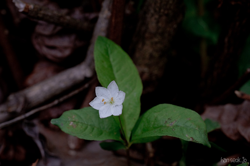 DSC_1935.jpg