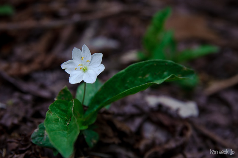 DSC_1942.jpg