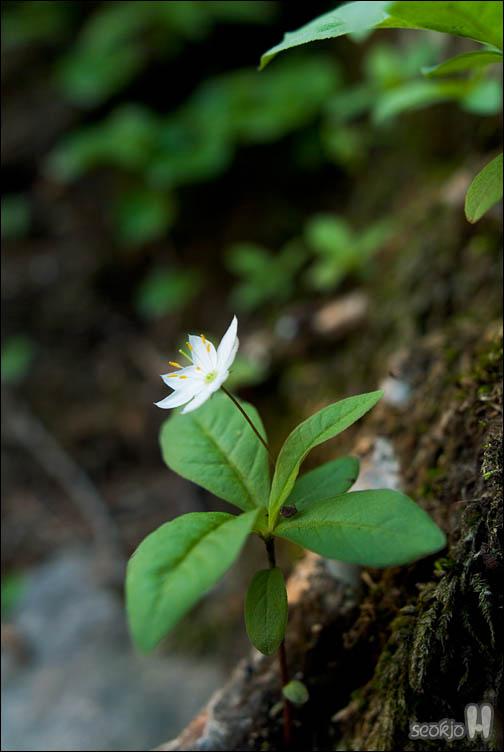 DSCF9078.jpg