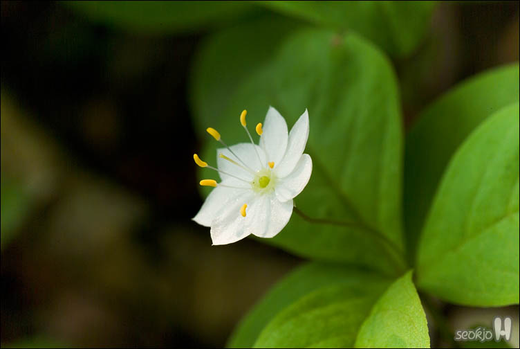 DSCF9450.jpg
