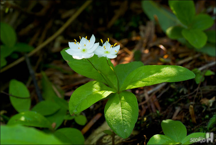 DSCF9451.jpg