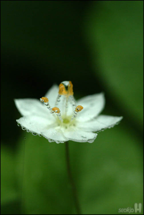 DSCF1807.jpg