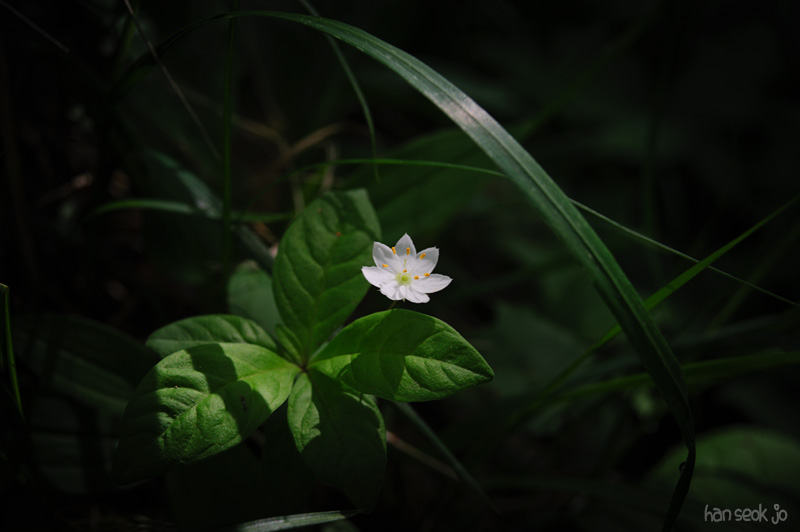 HSJ_0368.jpg