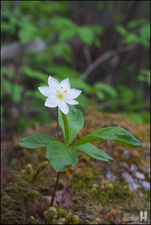 DSCF7087.jpg