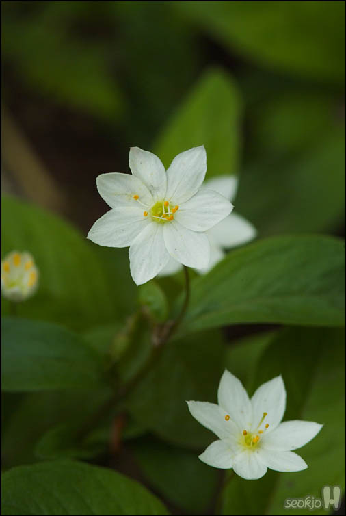 DSCF7092.jpg