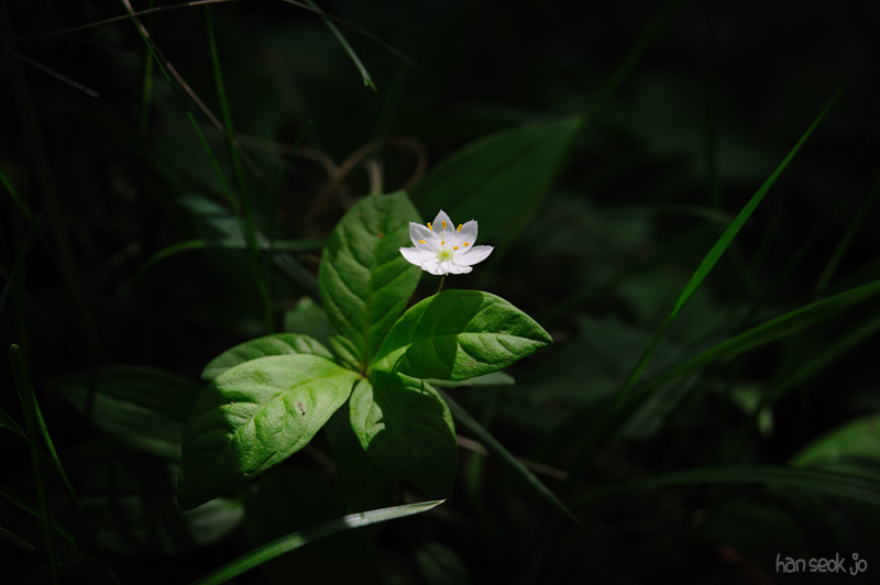 HSJ_0369.jpg