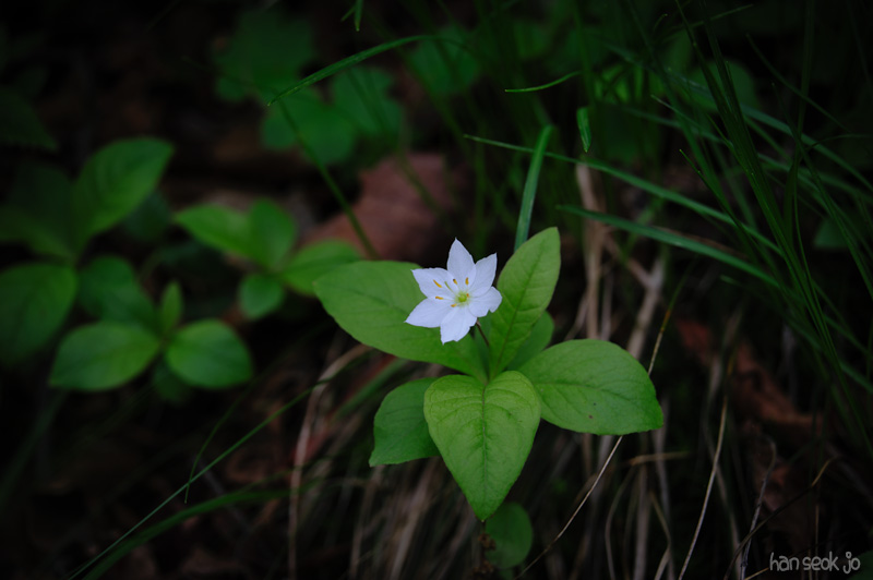 HSJ_0353.jpg