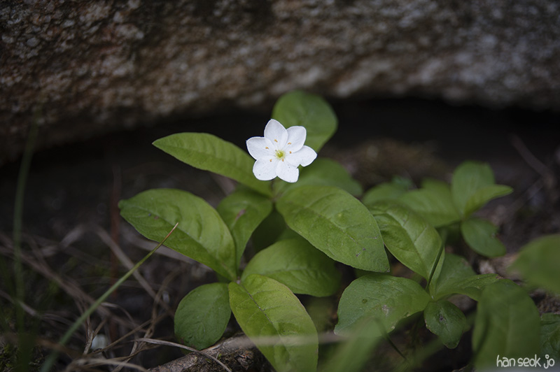 HSJ_5870.jpg