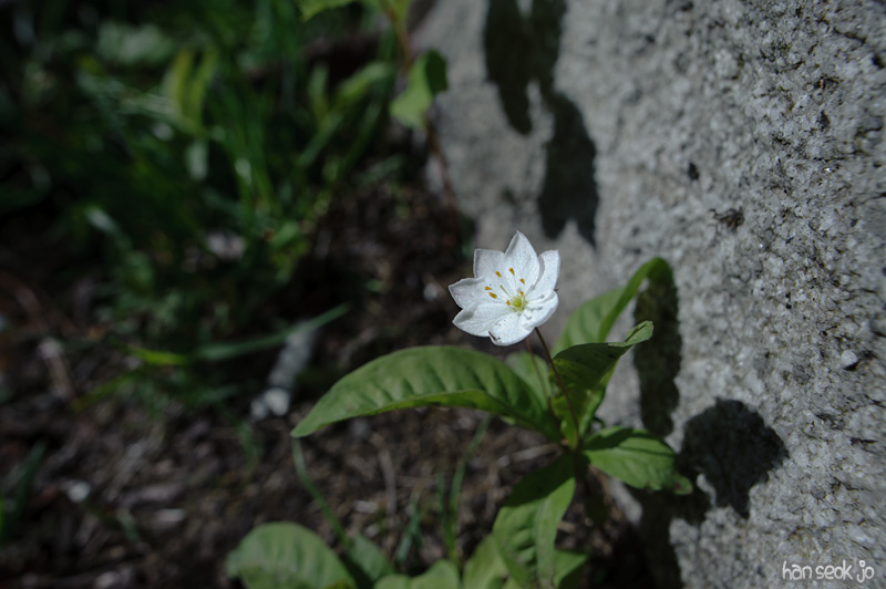 HSJ_9048.jpg