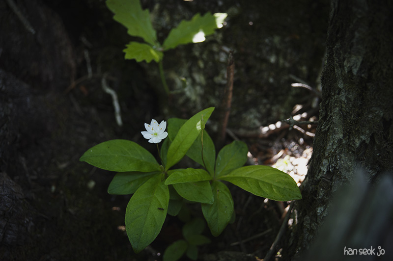 HSJ_5155.jpg