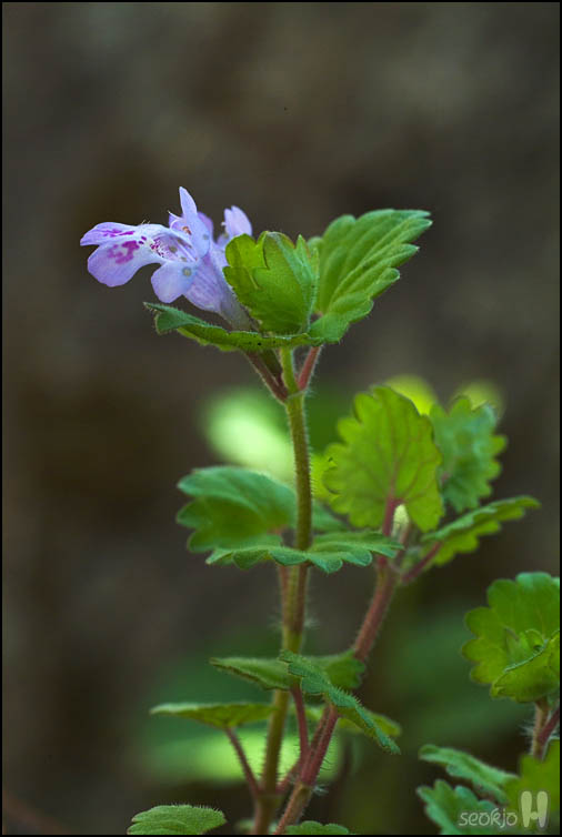 DSCF1128.jpg