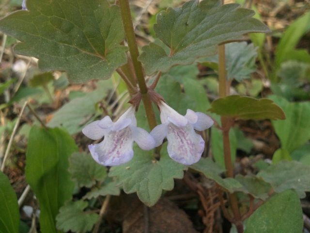 2011-05-05.jpg