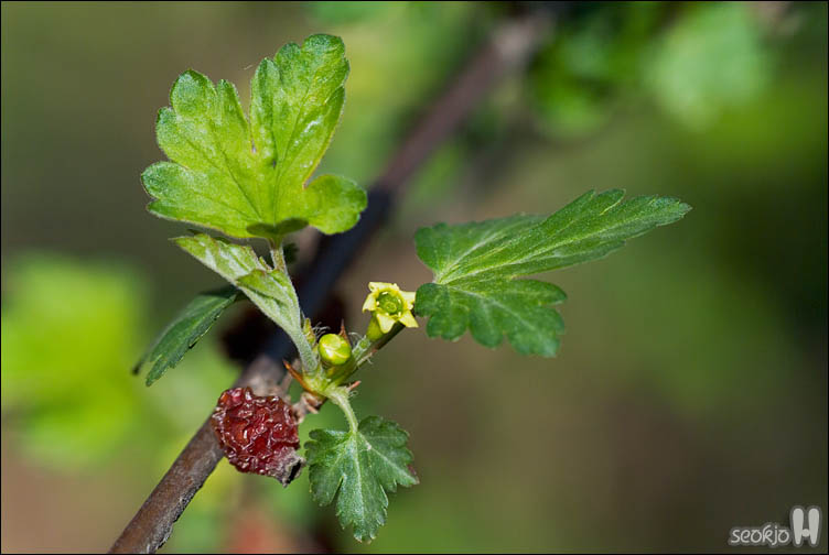 DSCF7370.jpg