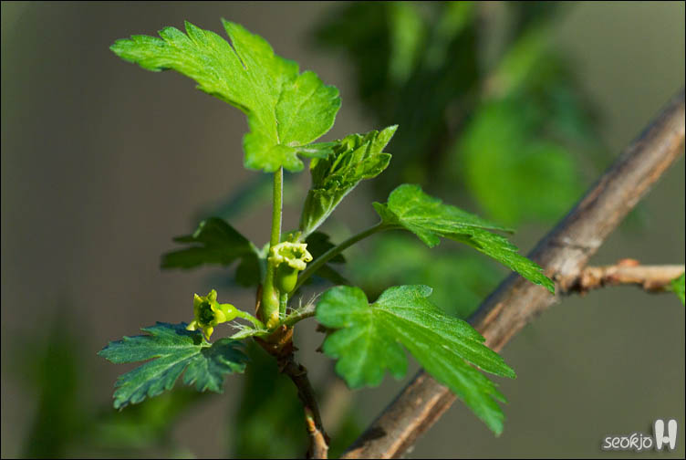 DSCF7376.jpg