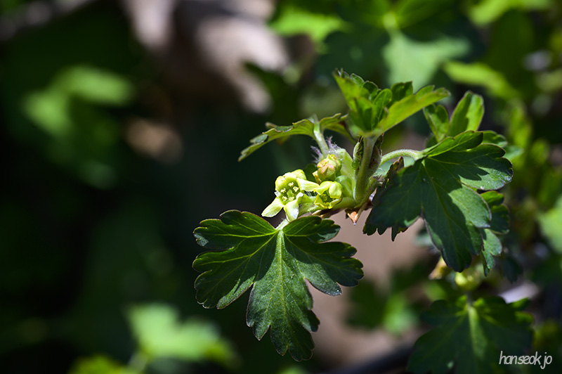 DSC_1934.jpg