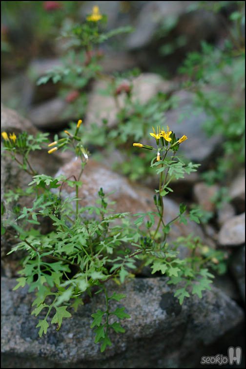 DSCF8953.jpg