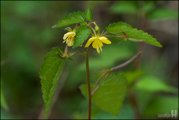 DSCF3587.jpg