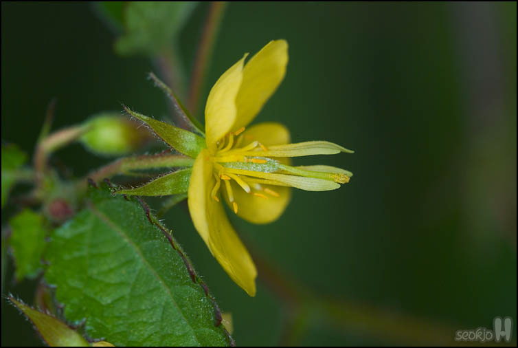 DSCF3588.jpg