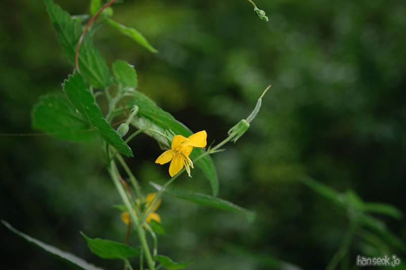 HSJ_0374.jpg