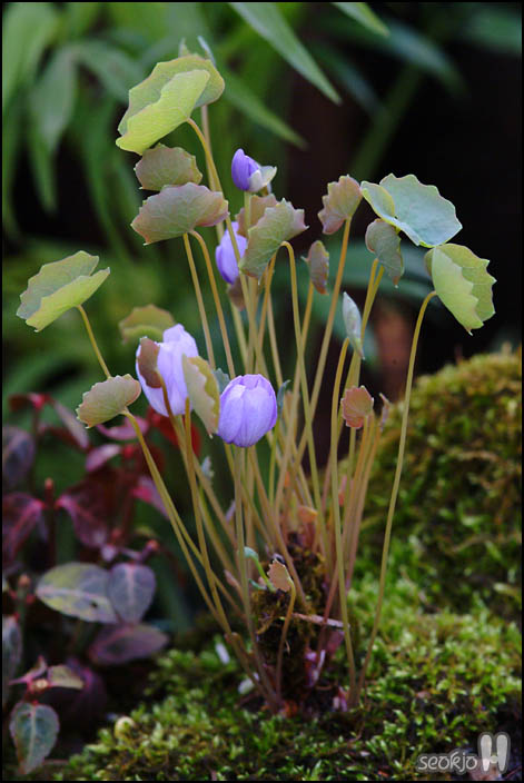 DSCF4331.jpg