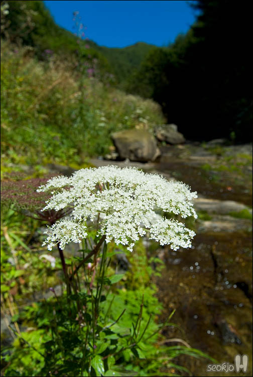 DSCF0607.jpg