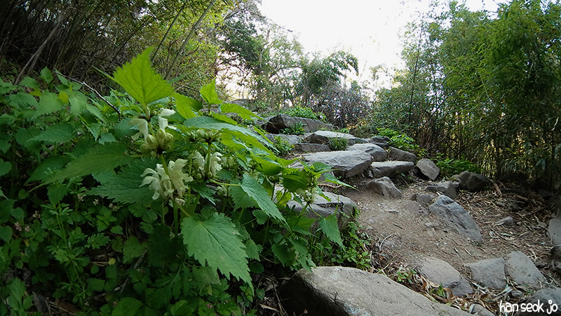 SAM_102_0026.jpg