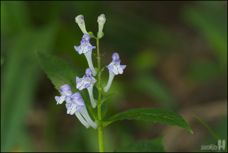 DSCF1566.jpg