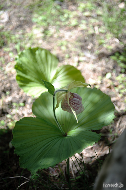 HSJ_8821.jpg