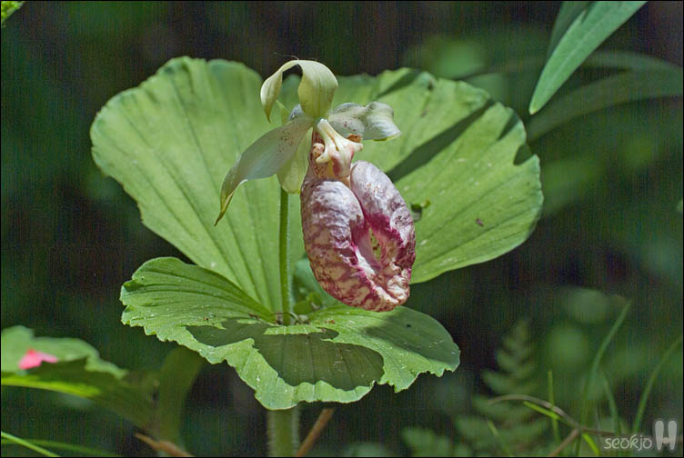 DSCF0574.jpg