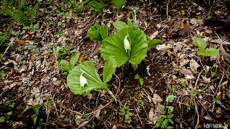 DJI_0157.jpg