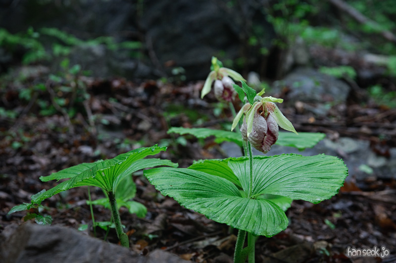 DSC_6476.jpg