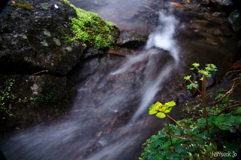 DSC_1370.jpg