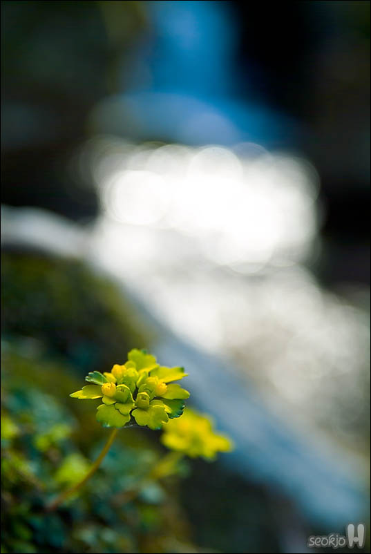 DSCF3343.jpg