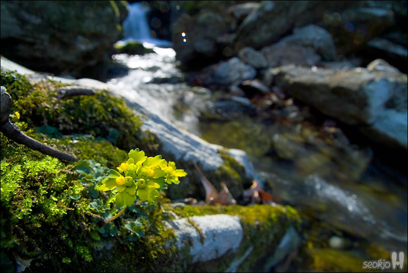 DSCF3331.jpg