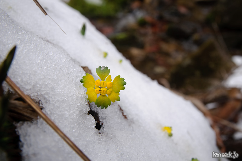DSC_5711.jpg