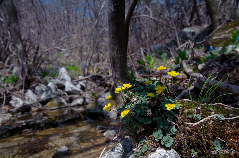 DSC_1046.jpg