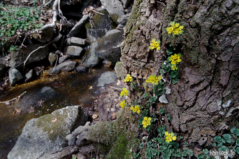 DSC_1052.jpg
