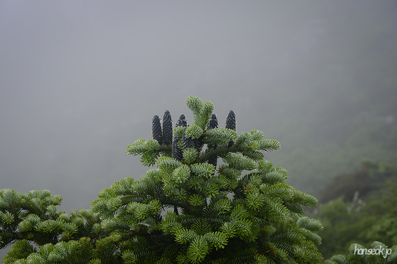 HAN_0446.jpg