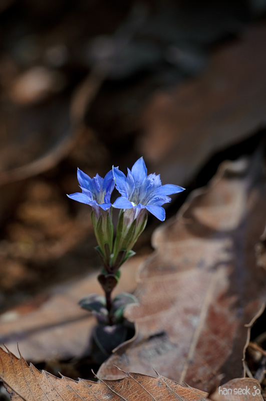 DSC_1172.jpg