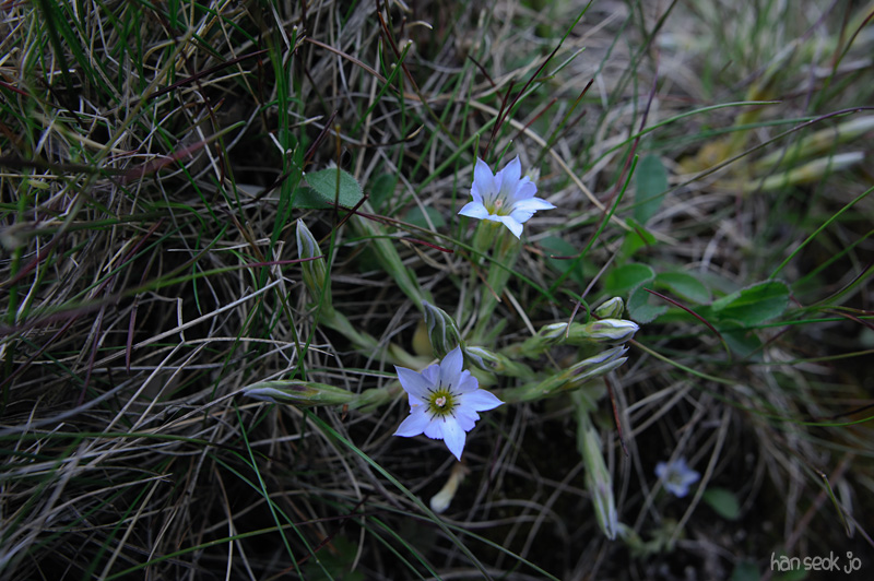 HSJ_3248.jpg