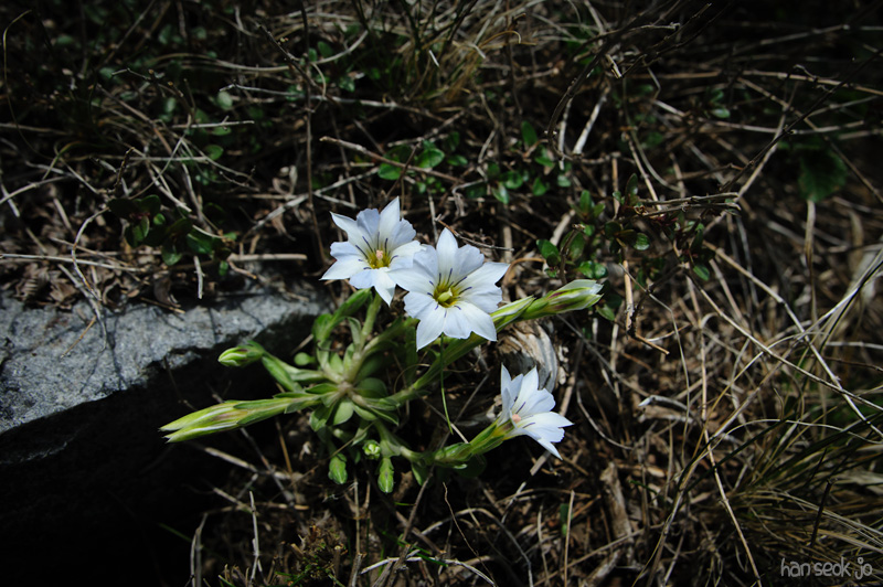 HSJ_9673.jpg
