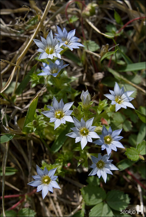 DSCF8128.jpg