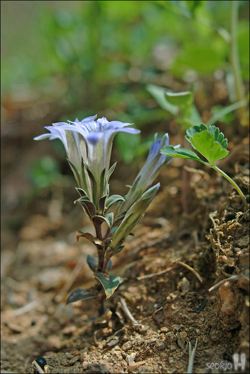 DSCF0316.jpg