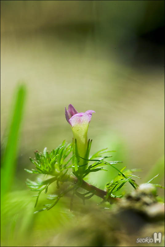 DSCF6279.jpg