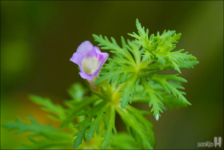 DSCF0754.jpg