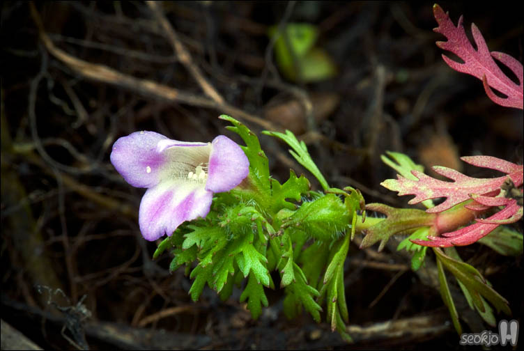 DSCF1047.jpg